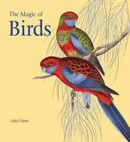 The Magic of Birds (Hardback)