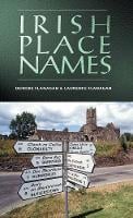 Irish Place Names (Paperback)