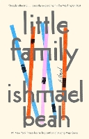 Little Family: A Novel (Paperback)