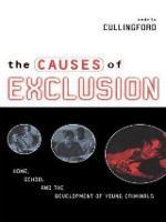 The Causes of Exclusion: Home, School and the Development of Young Criminals (Paperback)