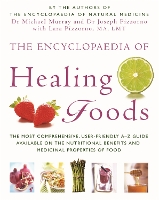 The Encyclopaedia Of Healing Foods (Paperback)