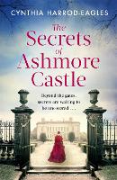 The Secrets of Ashmore Castle - Ashmore Castle (Hardback)