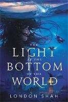 The Light at the Bottom of the World (Paperback)