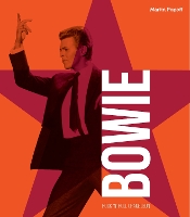 David Bowie: Rock 'n' Roll Chameleon (Hardback)