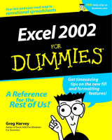 Excel 2002 For Dummies (Paperback)