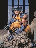 Essential Wolverine - Vol. 2 (Paperback)