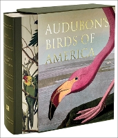 Audubon’s Birds of America: Baby Elephant Folio (Hardback)