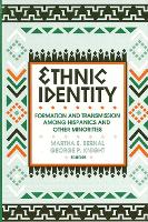 Ethnic Identity: Formation and Transmission among Hispanics and Other Minorities (Paperback)