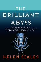 The Brilliant Abyss: Exploring the Majestic Hidden Life of the Deep Ocean, and the Looming Threat That Imperils It (Hardback)