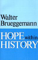 Hope within History (Paperback)
