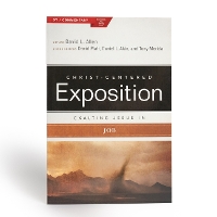 Exalting Jesus in Job (Paperback)