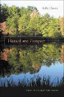Hazard and Prospect: New and Selected Poems (Hardback)