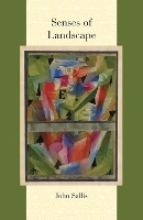 Senses of Landscape - Comparative and Continental Philosophy (Paperback)