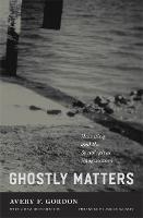 Ghostly Matters: Haunting and the Sociological Imagination (Paperback)