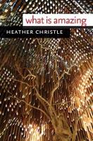 What Is Amazing (Paperback)