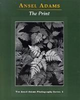 New Photo Series 3: Print - New Photo (Paperback)