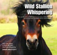 Wild Stallion Whispering