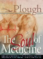 Plough Quarterly No. 17- The Soul of Medicine (Paperback)