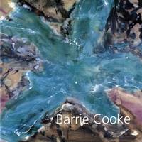 Barrie Cooke - Profiles S. v. 10 (Paperback)