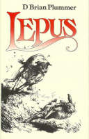 Lepus: The Story of a Hare (Hardback)