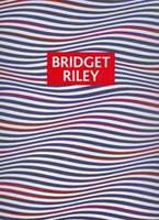 Bridget Riley: Paintings and Drawings 1961 - 2004 (Paperback)