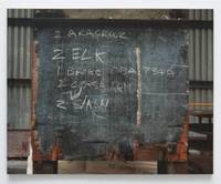 Simon Starling: Djungel (Paperback)