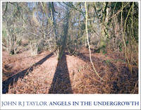 Angels In The Undergrowth (Hardback)