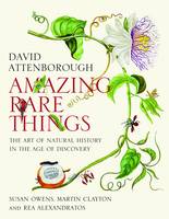 Amazing Rare Things: The Art of Natural History in the Age of Discovery (Paperback)