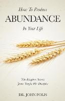 How To Produce Abundance In Your Life: The Kingdom Secrets Jesus Taught His Disciples (Paperback)