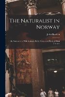 The Naturalist in Norway: Or, Notes on the Wild Animals, Birds, Fishes, and Plants of That Country (Paperback)