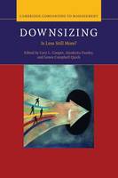 Downsizing: Is Less Still More? - Cambridge Companions to Management (Paperback)
