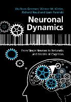 Neuronal Dynamics: From Single Neurons to Networks and Models of Cognition (Paperback)