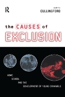 The Causes of Exclusion: Home, School and the Development of Young Criminals (Hardback)