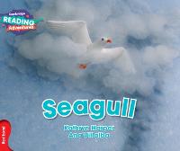 Cambridge Reading Adventures Seagull Red Band - Cambridge Reading Adventures (Paperback)