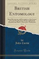 British Entomology, Vol. 4: Being Illustrations and Descriptions of the Genera of Insects Found in Great Britain and Ireland; Hymenoptera, Part II., Neuroptera, Trichoptera (Classic Reprint) (Paperback)