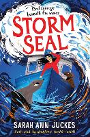 Storm Seal: A seaside story of family and hope (Paperback)