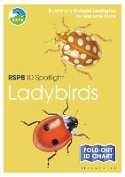 RSPB ID Spotlight - Ladybirds - RSPB
