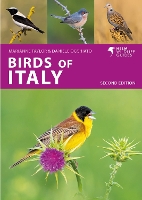 Birds of Italy - Helm Wildlife Guides (Paperback)