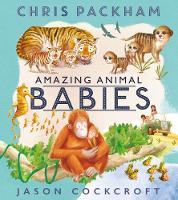 Amazing Animal Babies (Hardback)