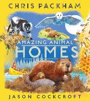 Amazing Animal Homes (Paperback)