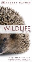 Pocket Nature Wildlife of Britain