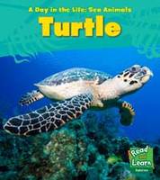 Sea Turtle - Young Explorer: A Day in the Life: Sea Animals (Paperback)