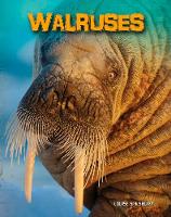 Walruses - Living in the Wild: Sea Mammals (Hardback)