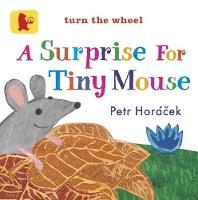 A Surprise for Tiny Mouse - Baby Walker (Board book)