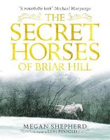 The Secret Horses of Briar Hill (Paperback)