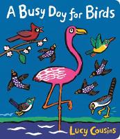 A Busy Day for Birds (Board book)