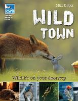 Wild Town (Paperback)