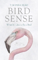 Bird Sense: What It's Like to Be a Bird (Paperback)