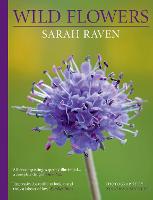 Sarah Raven's Wild Flowers (Hardback)