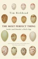 The Most Perfect Thing: Inside (and Outside) a Bird's Egg (Hardback)